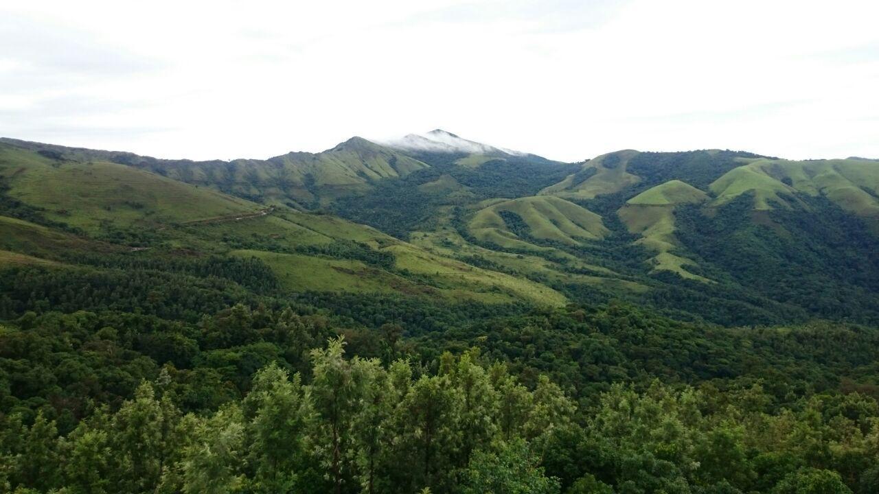 The Greenwood Resort Chikmagalur - Escape To Tranquil Mountain Views エクステリア 写真